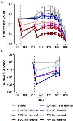 Carbon Source Reduction Postpones Autumn Leaf Senescence in a Widespread Deciduous Tree